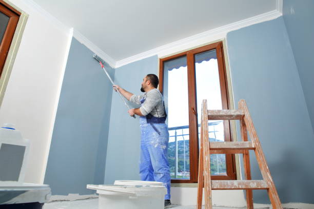 Best Mold Remediation for Healthcare Facilities  in Clyde, NY