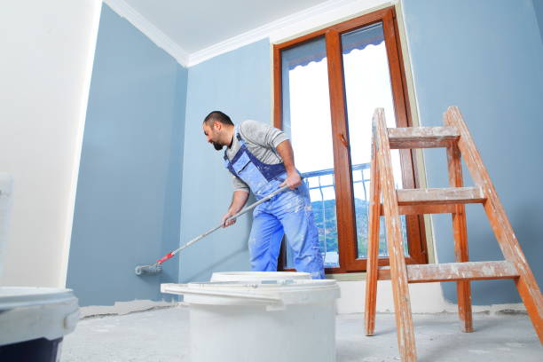 Best Mold Odor Removal Services  in Clyde, NY