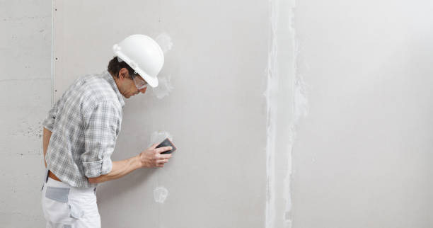 Best Basement Mold Removal  in Clyde, NY