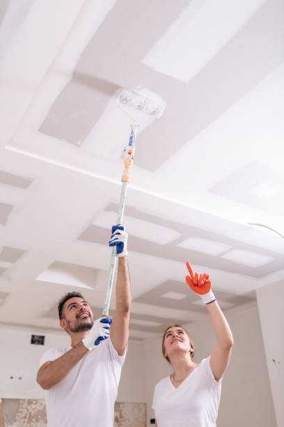 Best Dehumidification Services  in Clyde, NY