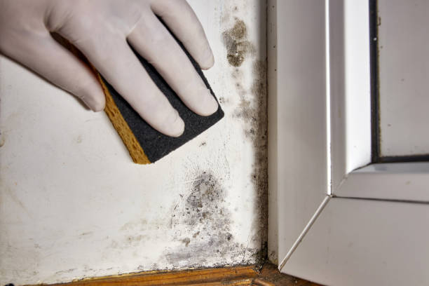 Best Indoor Air Quality Assessment  in Clyde, NY