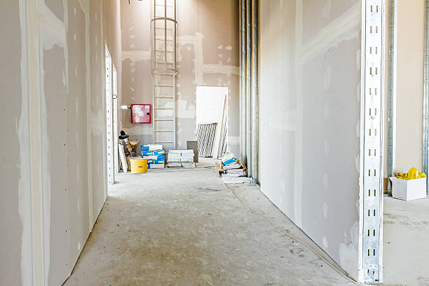 Best Mold Documentation for Insurance Claims  in Clyde, NY