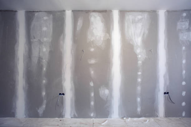 Professional Mold Removal in Clyde, NY